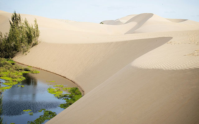 화이트 샌듄(The White Sand Dunes)